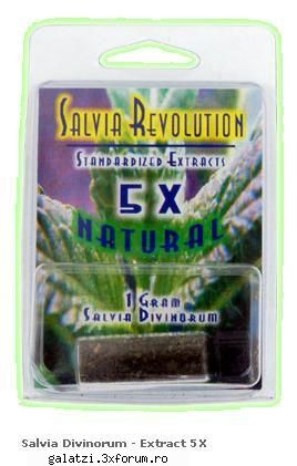 salvia divinorum extract salvia divinorum extract &nbsp; ron &nbsp; special &nbsp; livrare ore