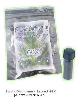 salvia divinorum - extract 60 x

price:
    180 ron    special    livrare in 2 ore pentru clientii