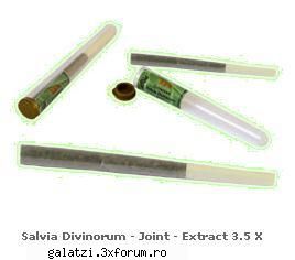 salvia divinorum - joint - extract 3.5 x

price:
    35 ron    special    livrare in 2 ore pentru