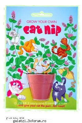 cat nip    50 ron    livrare in 2 ore pentru clientii din galati si 24 ore pentru clientii din    it